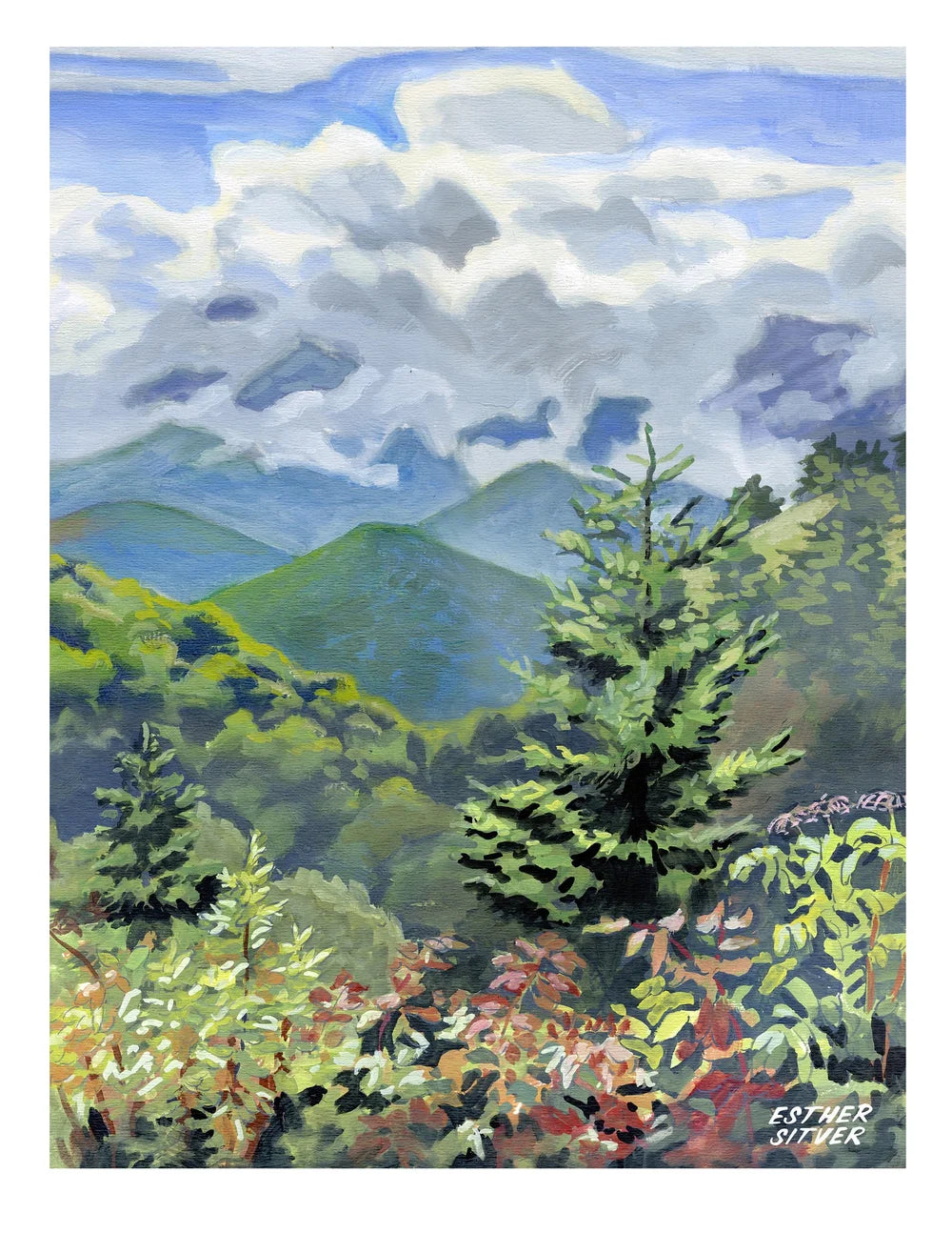 Blue RIdge Parkway Postcard