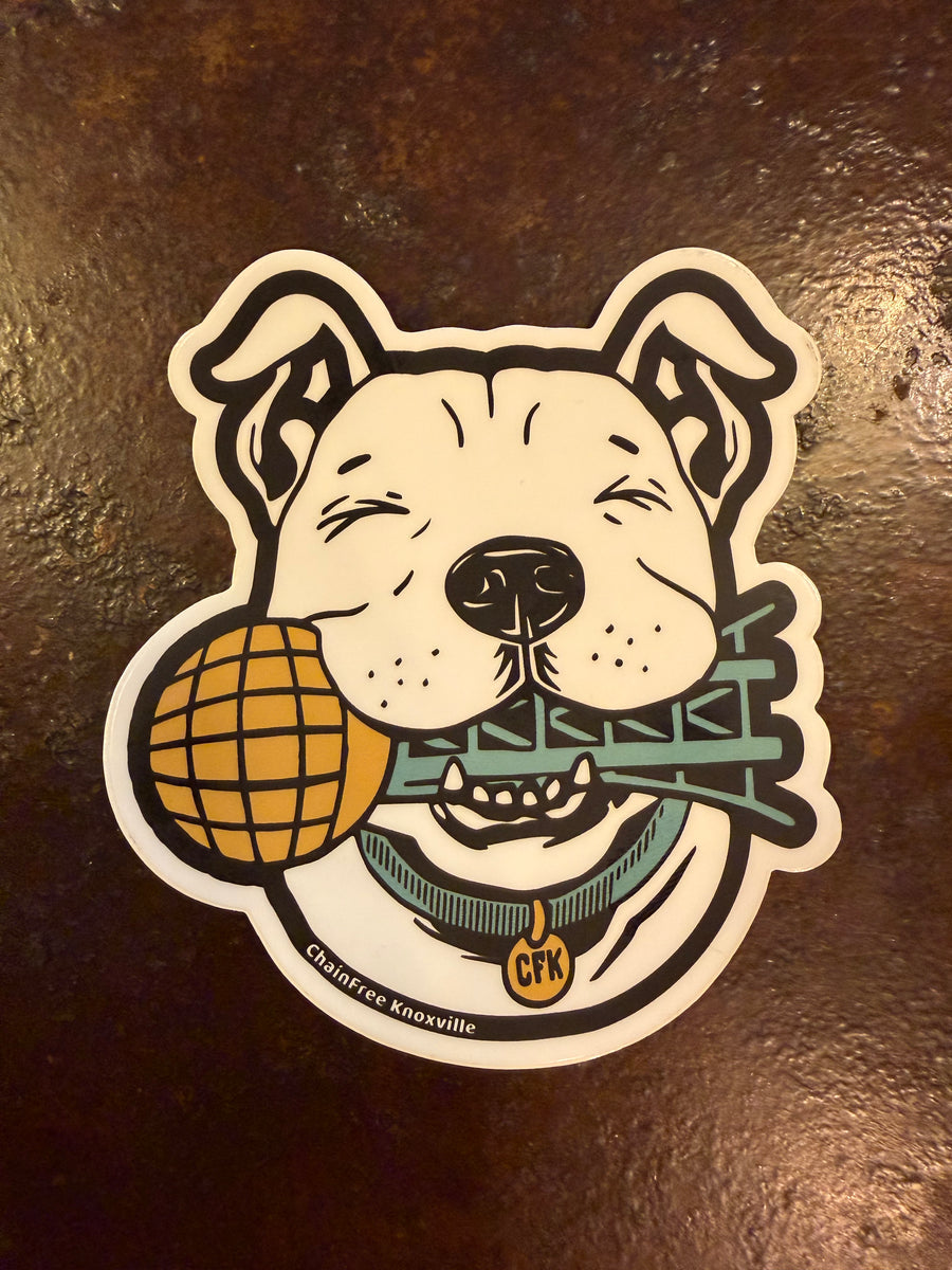 Chain Free Knoxville Sticker