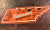TN State Magnet