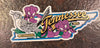 TN State Magnet
