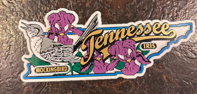 TN State Magnet