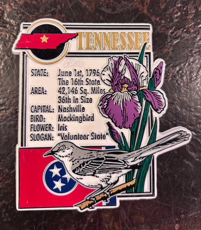 TN State Magnet