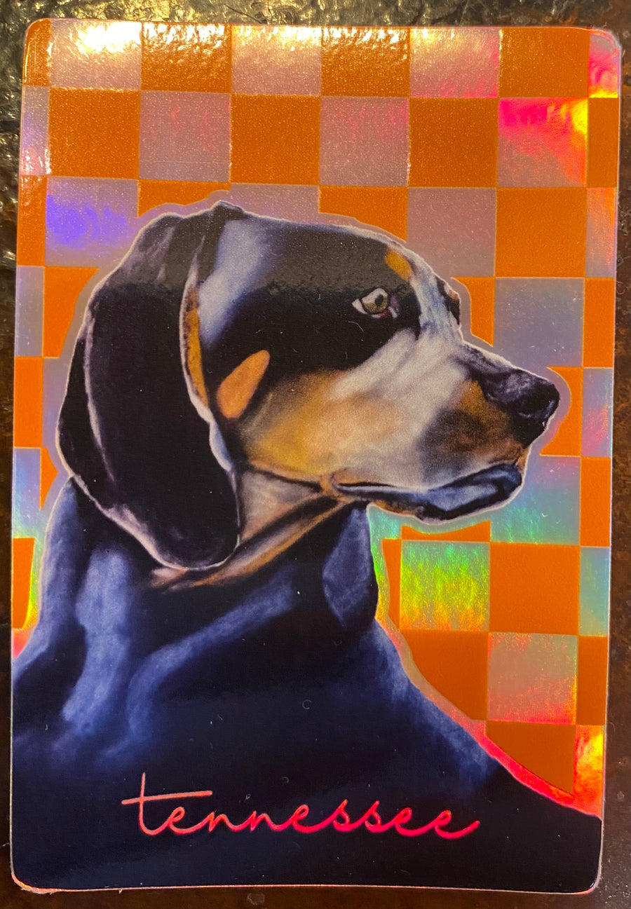 Hologram Smokey Sticker