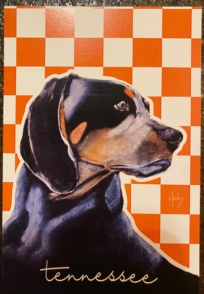 Checker Smokey Postcard