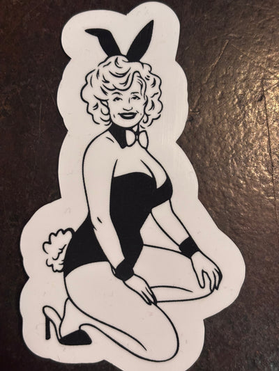 Ace the Pitmation Stickers