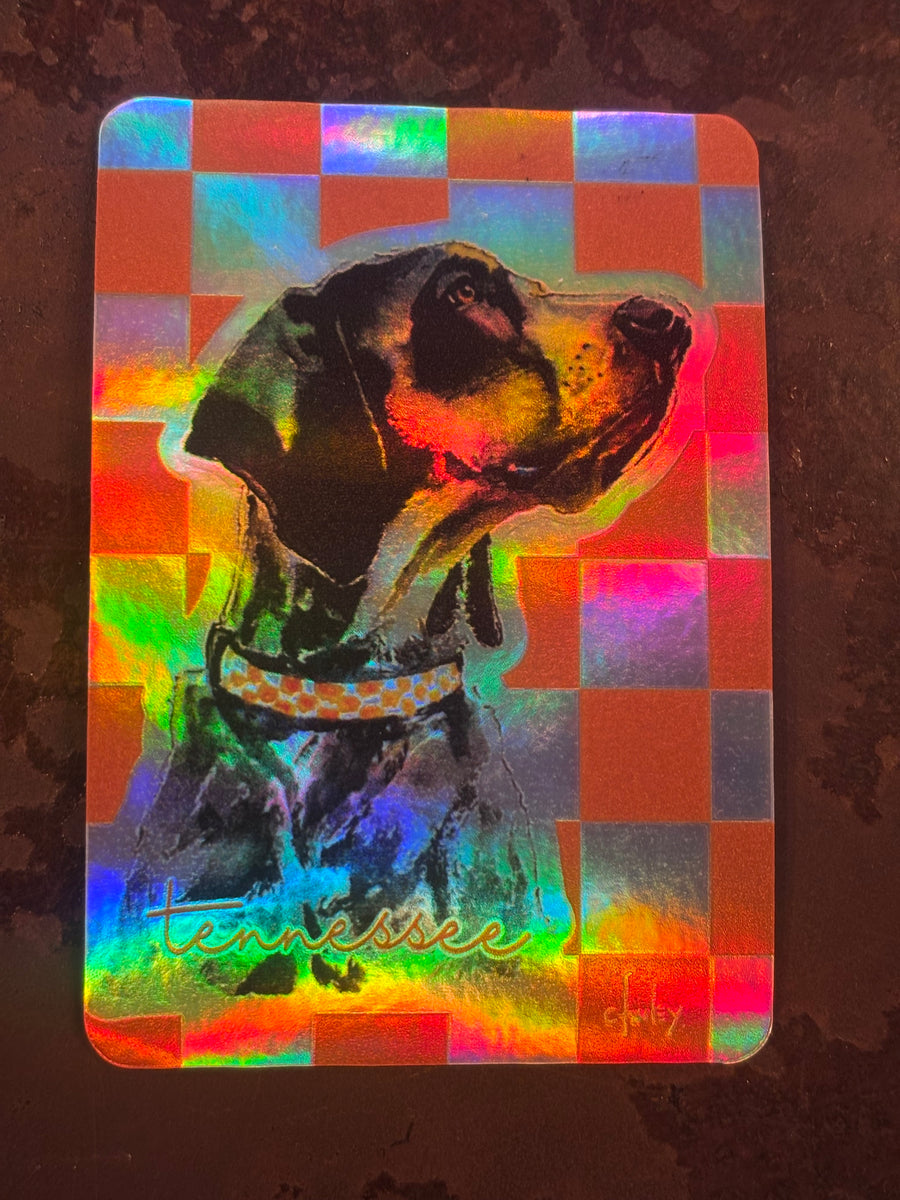 Hologram Smokey Sticker