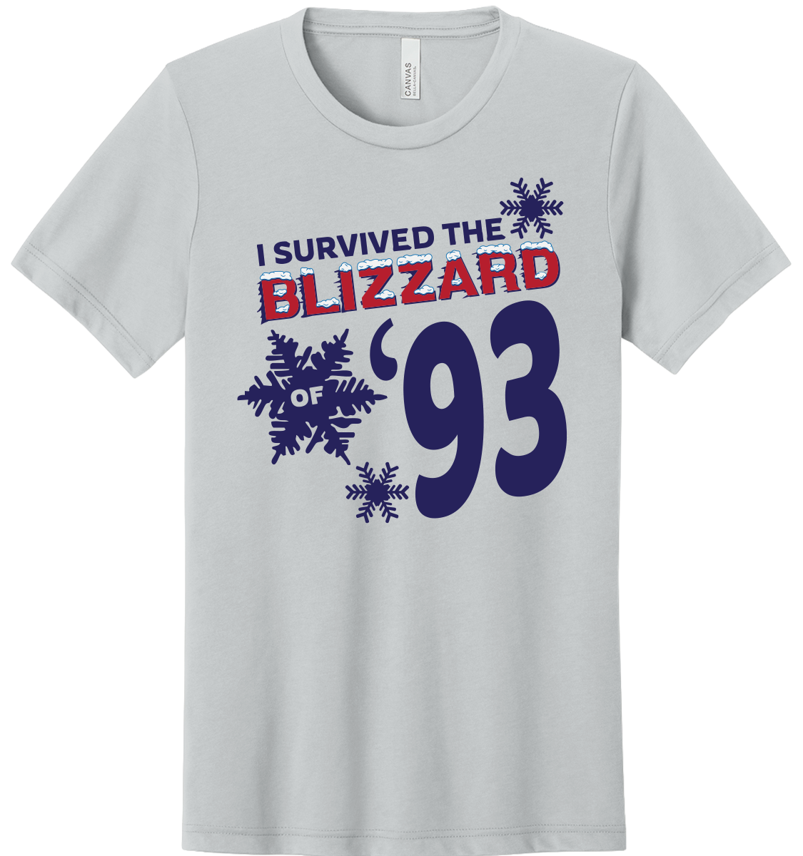 BLIZZARD OF '93