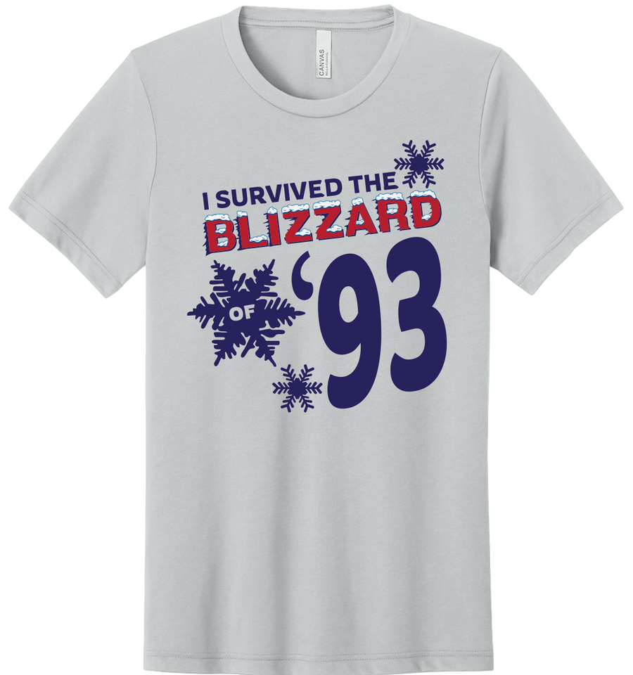 BLIZZARD OF '93
