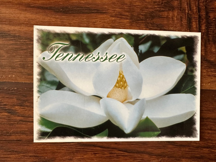 TN MAGNOLIA POSTCARD