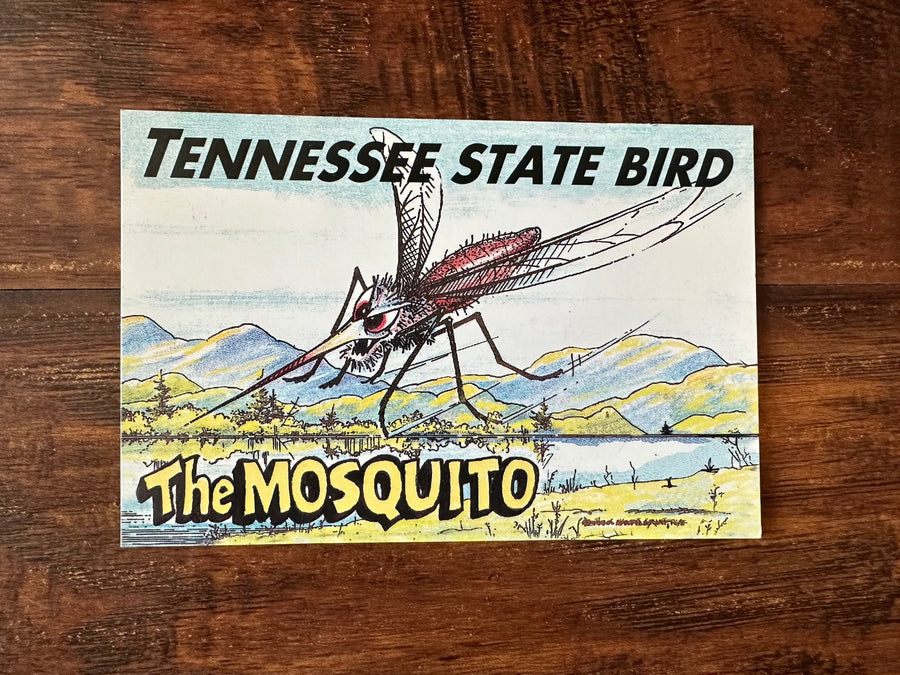 TN STATE BIRD POSTCARD