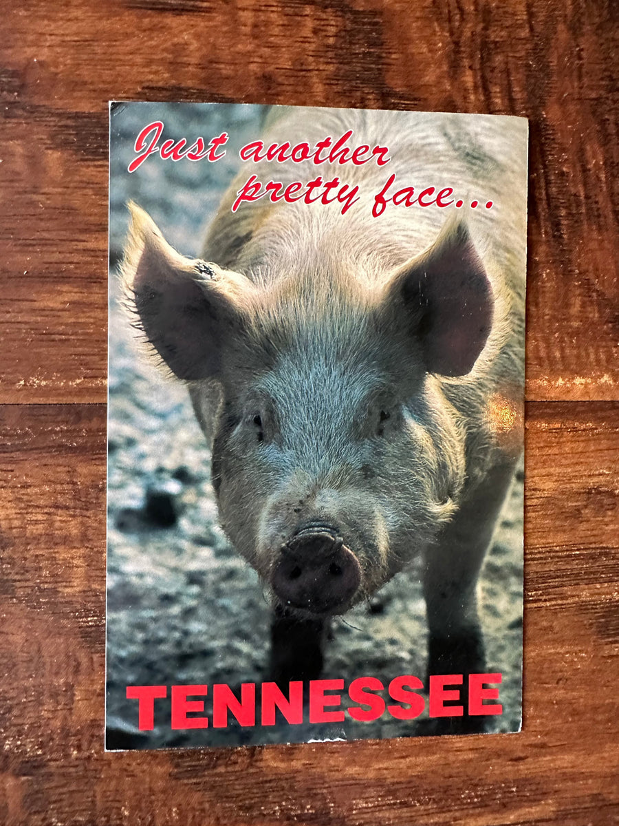 TN PRETTY FACE POSTCARD