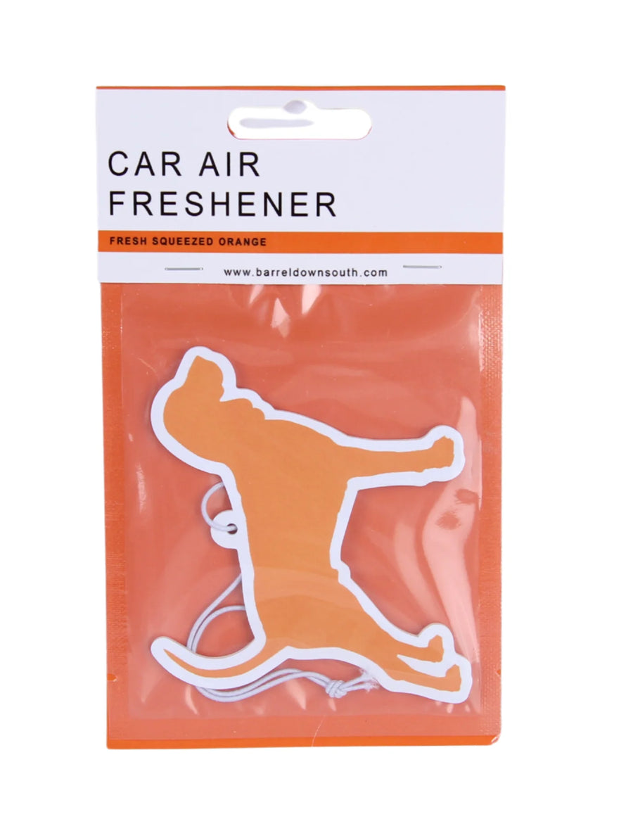 Air Freshener - Orange Smokey