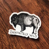 See Nick Draw Stickers - Nothing Too Fancy