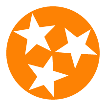 Orange Tri-Star Magnet  Magnet - Nothing Too Fancy